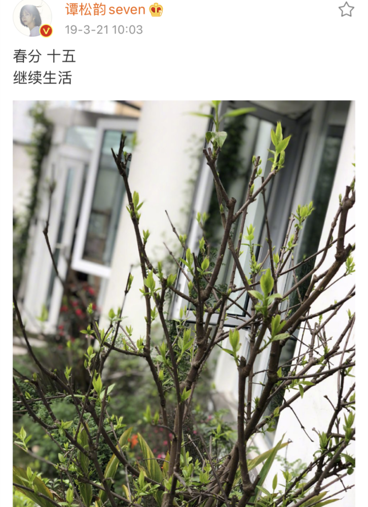 谭松韵|谭松韵妈妈去世一年多，何炅还是不放心这位妹妹，默默帮助太暖心