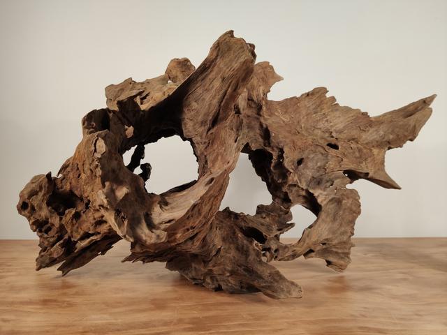 水质|养鱼的水慢慢地变黄怎么解决？除非水质变坏，否则你都不用管