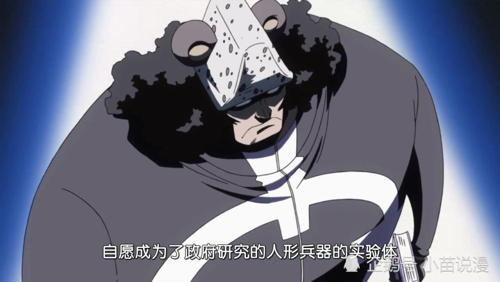 海贼王暴君熊若未被奴役现必已是超越皇副的存在