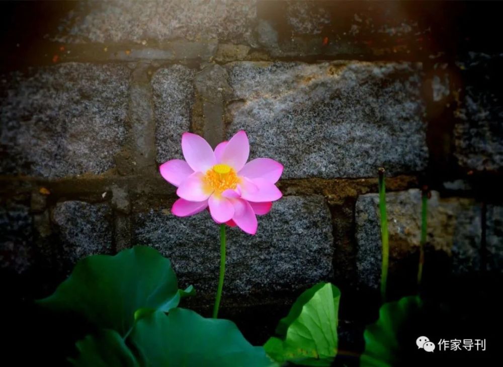 贾锡照|贾锡照近体诗20首