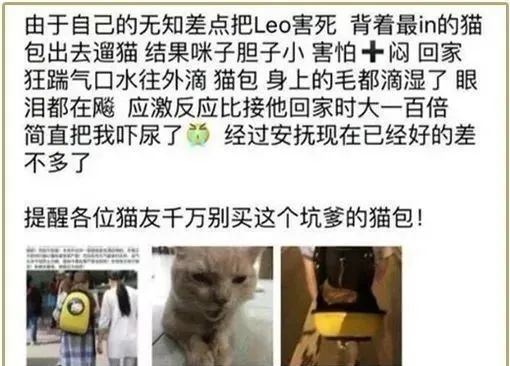 网红猫包 毁猫不倦 腾讯新闻