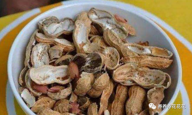 杂物|见到3样“杂物”要收集，用来养花特别棒，土壤不板结，养啥旺啥