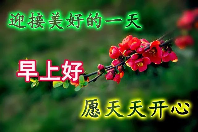 愿你时时刻刻甜蜜围绕,永永远远温馨永驻.早安,愿你有个美好一天!