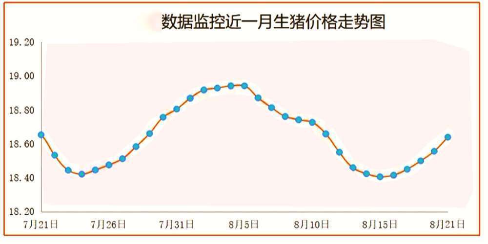 8月21日猪价 22涨 冻肉 压不住 8月猪价要破19元一斤 腾讯新闻