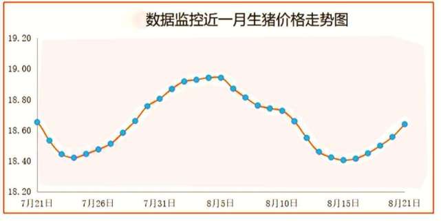 8月21日猪价 22涨 冻肉 压不住 8月猪价要破19元一斤 腾讯网