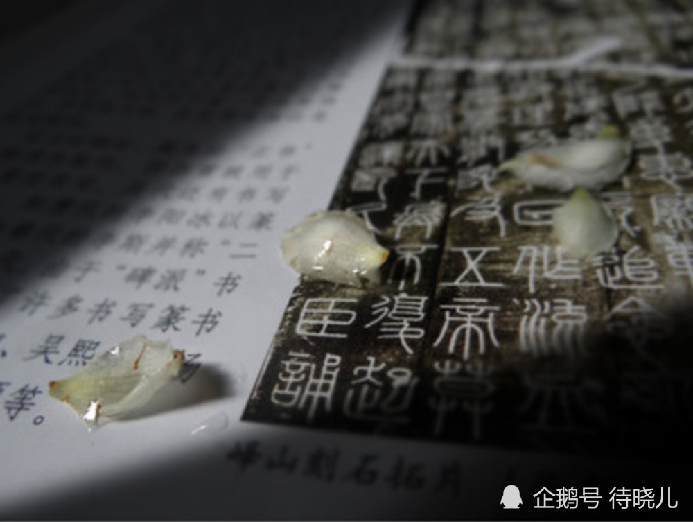 北京话|南方方言就是古汉语吗？并不是，“古汉语”的具体情况还无法确定