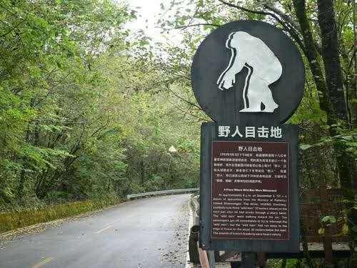 野人|湖北最大原始森林，居世界四大自然之谜首位，传有野人却至今无解