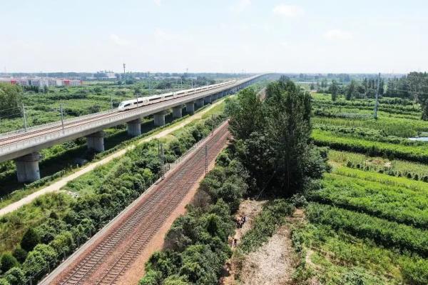 截至8月19日,郑州供电段已检查发现危树5419棵,采取修枝,去冠,加固,截