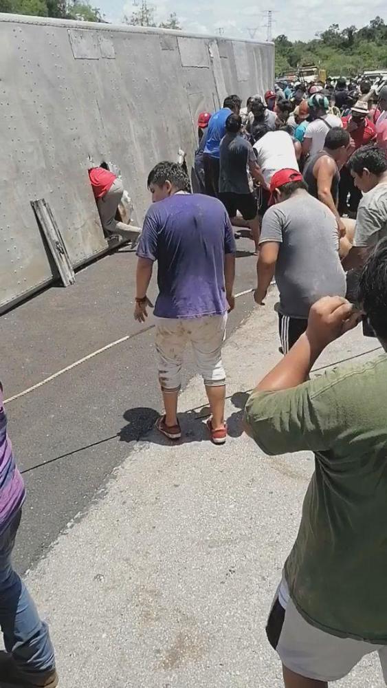 墨西哥_社会|墨西哥卡车意外翻车，结果车内肥猪遭村民哄抢一空，司机欲哭无泪