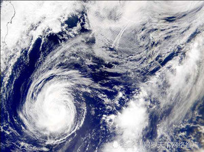 停电投诉电话95598奋力迎战台风海高斯3万用户受停电影响