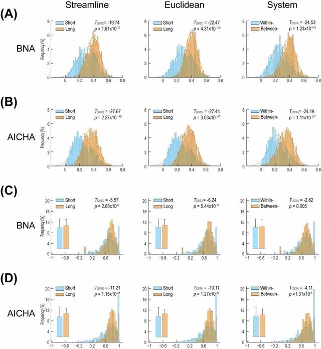 北京师范大学|北师大龚高浪组首次揭示大脑左右半球白质连接的遗传关联规律