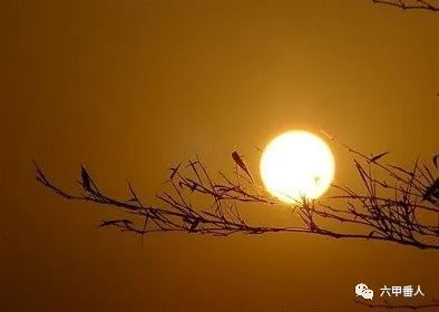 对联|诡神诗话：上联：莱茵河江流日夜，下联：滑铁卢血换星辰