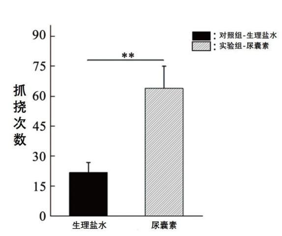 山药|给山药削皮手会痒？只因为你少了这个操作