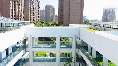 海贝幼儿园|宋超越|海贝幼儿园|幼儿园|柘林镇|奉贤区