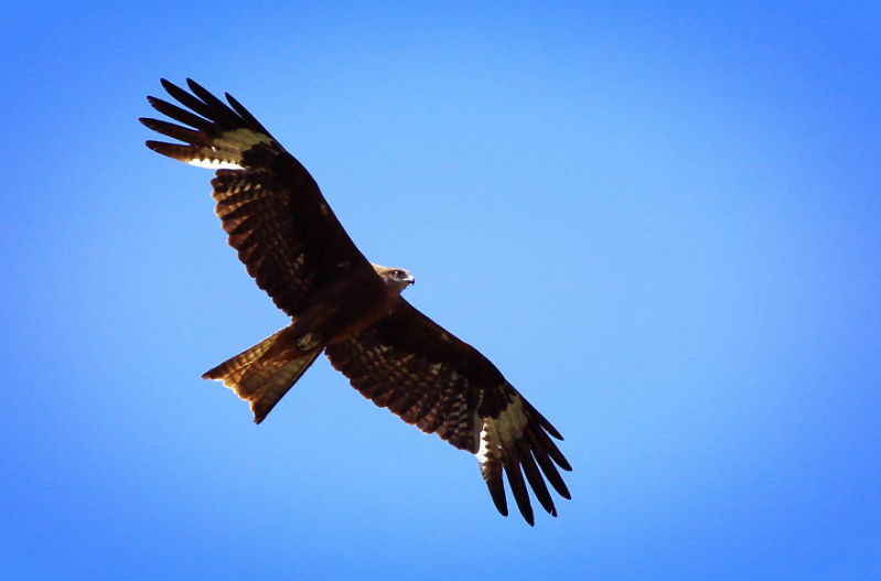 高考状元|学生写藏头诗赠老师，老师：教过你我骄傲，一年后该生成高考状元