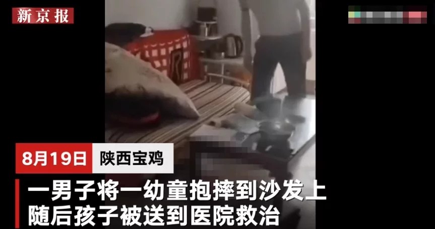 陕西遭父亲抱摔幼童死亡-WordPress极简博客