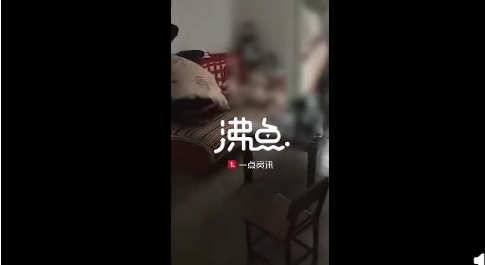 陕西遭父亲抱摔幼童死亡-WordPress极简博客