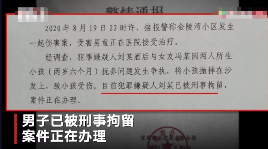 陕西遭父亲抱摔幼童死亡-WordPress极简博客