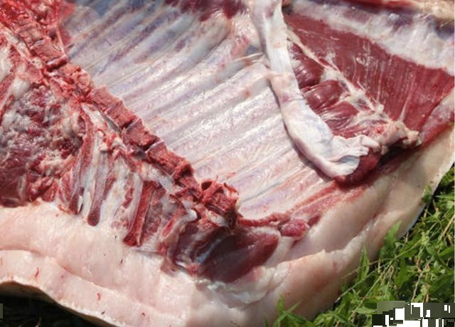 "土猪肉"和"饲料猪"怎么区分?