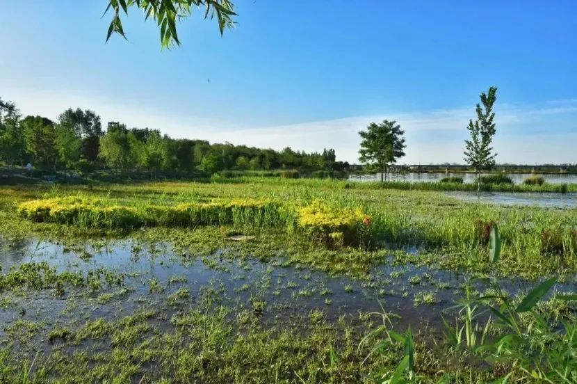 丰台区|夏季畅游丰台！丰台区“5条精品旅游线路”出炉！