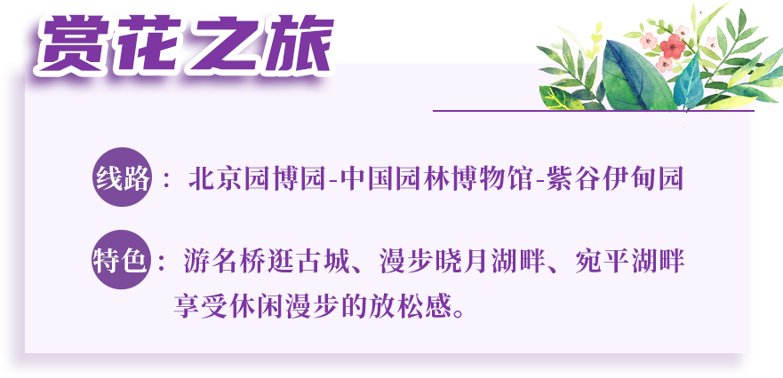 丰台区|夏季畅游丰台！丰台区“5条精品旅游线路”出炉！