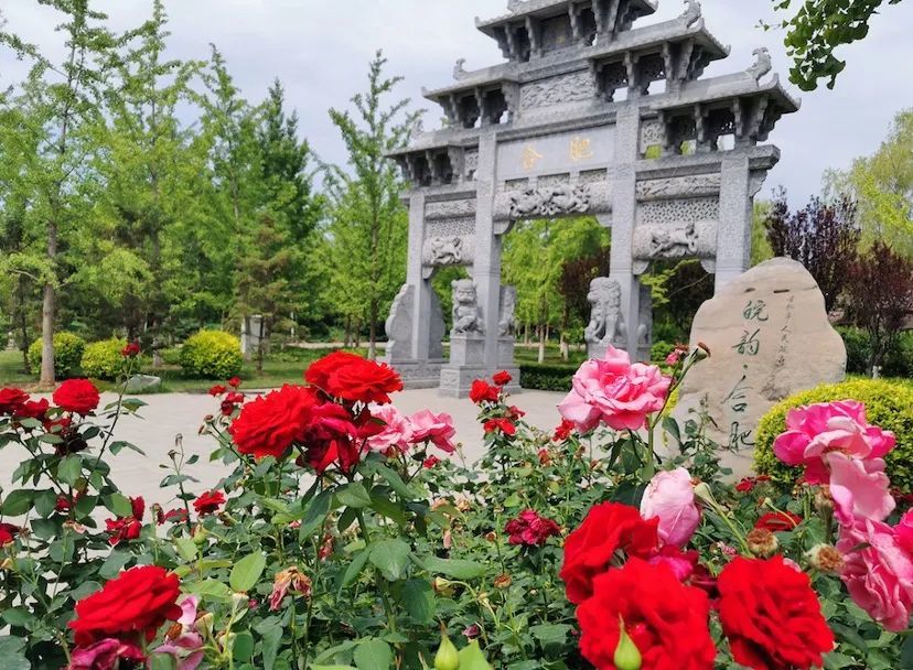 丰台区|夏季畅游丰台！丰台区“5条精品旅游线路”出炉！