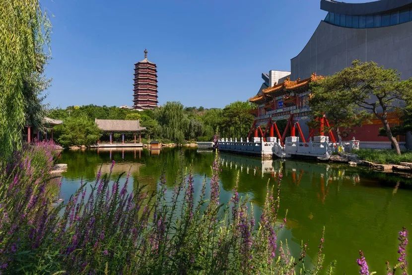 丰台区|夏季畅游丰台！丰台区“5条精品旅游线路”出炉！