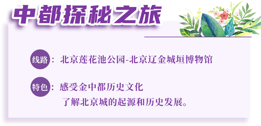 丰台区|夏季畅游丰台！丰台区“5条精品旅游线路”出炉！