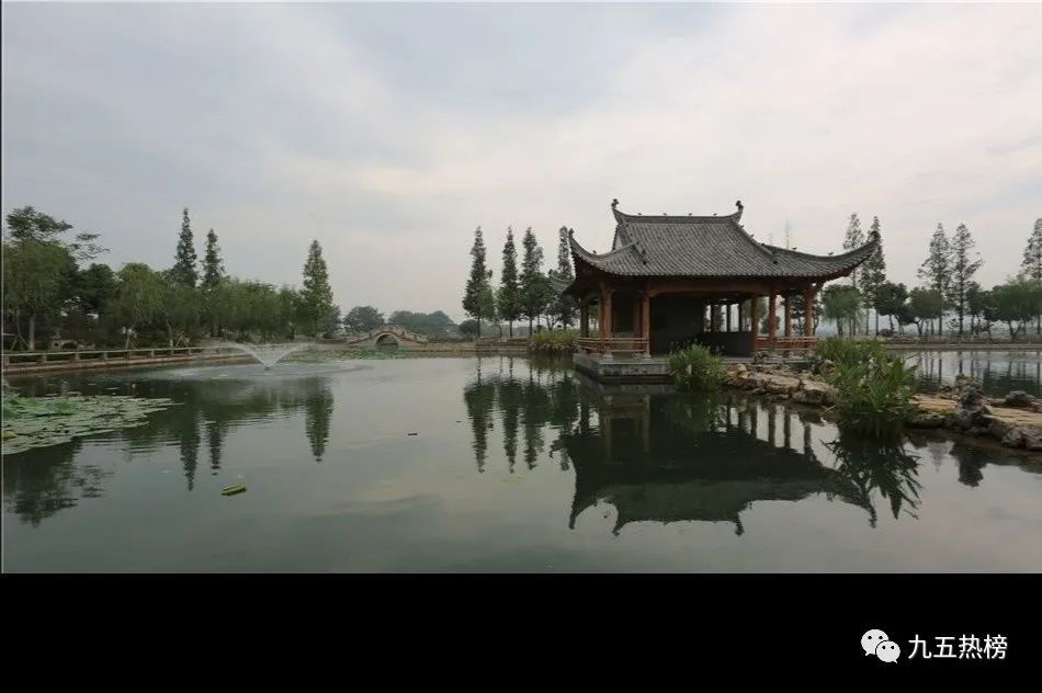 2,山东阳信牛腾雨村,村书记自费130万把垃圾坑建成水上乐园:村民可以