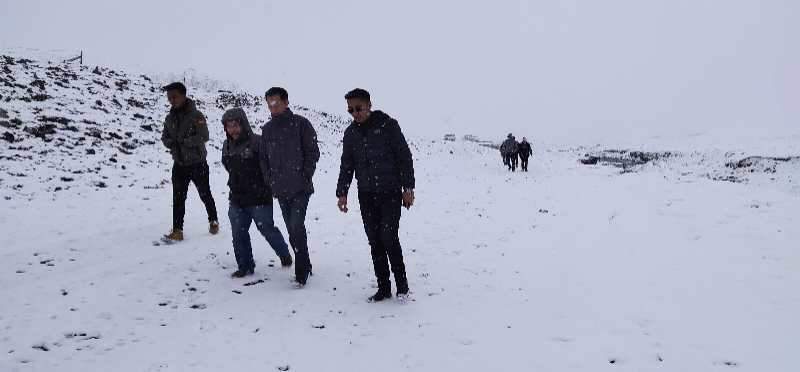 文化馆|青海文化馆年轻人：我们的青春没耽搁