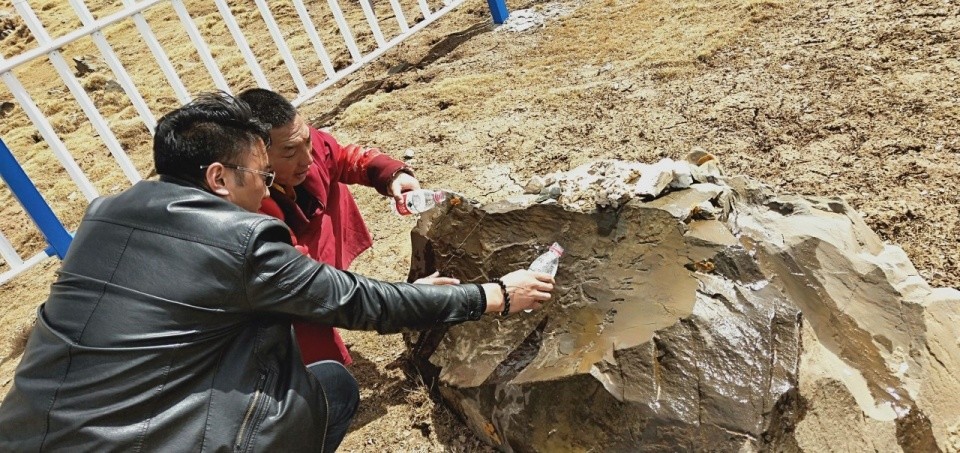 文化馆|青海文化馆年轻人：我们的青春没耽搁