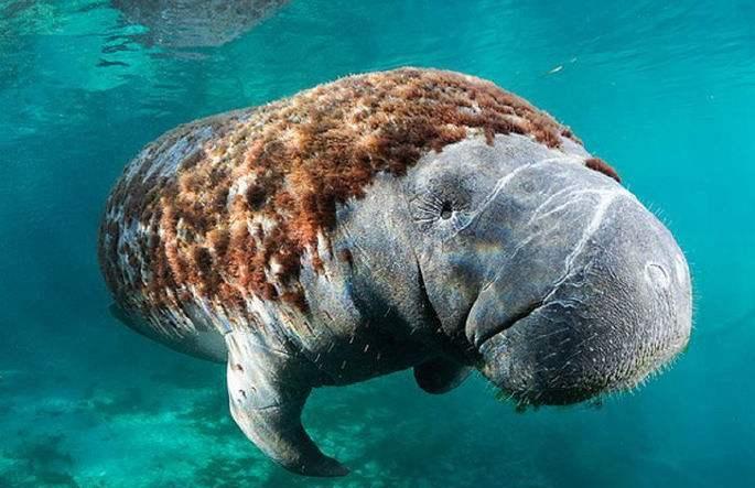 本来是冲着北海去的意外发现了一个叫合浦的小县城感觉赚到了