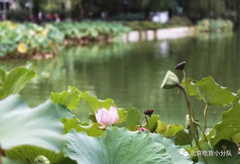 北京|9个北京小众景点，终于可以打卡了