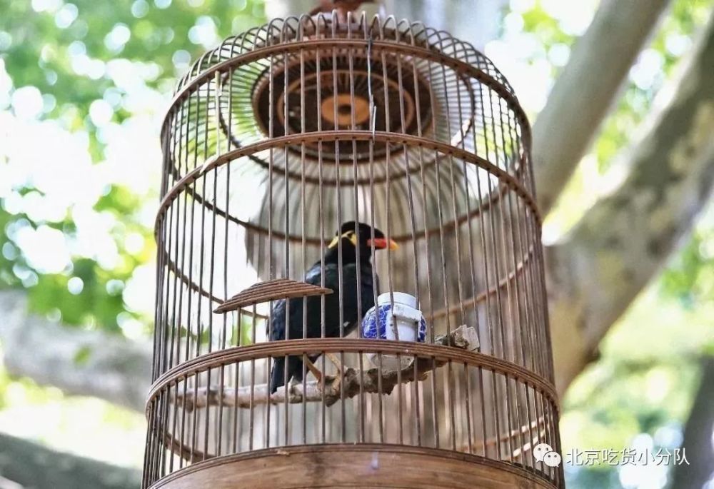 北京|9个北京小众景点，终于可以打卡了