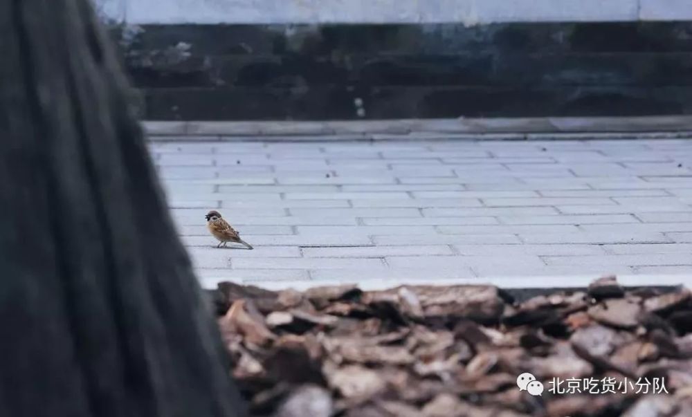 北京|9个北京小众景点，终于可以打卡了