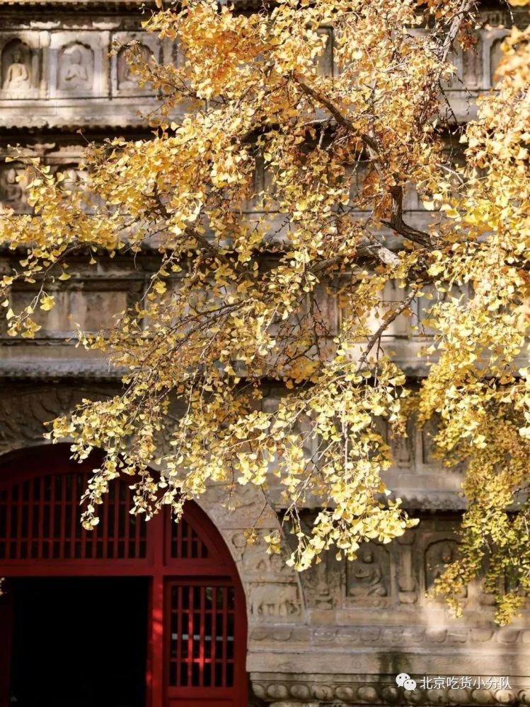 北京|9个北京小众景点，终于可以打卡了