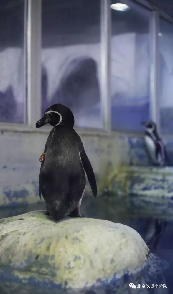 北京|9个北京小众景点，终于可以打卡了