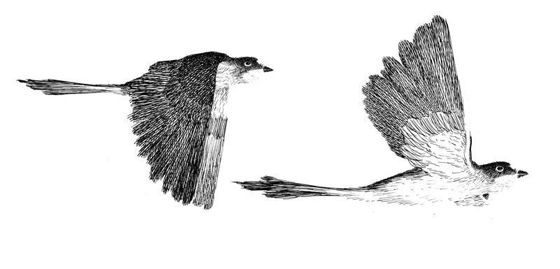 插画师|韩国插画师JaeHoon Choi：漫步
