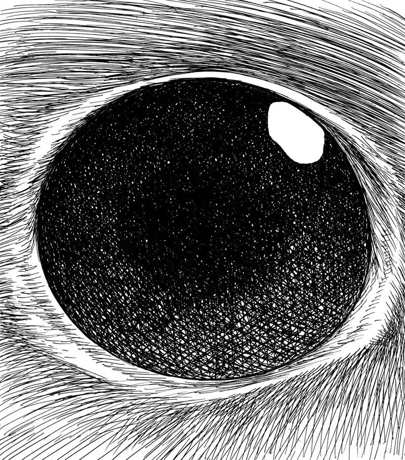 插画师|韩国插画师JaeHoon Choi：漫步