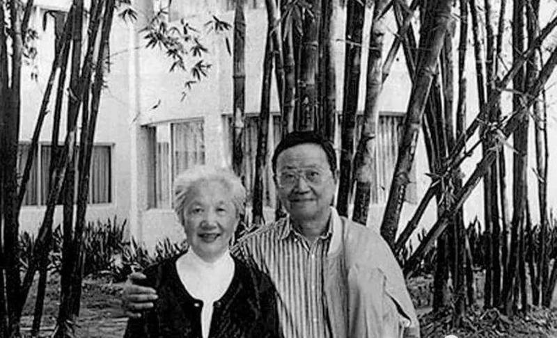 王元化|那一年，福寿园，我们最后送别王元化先生