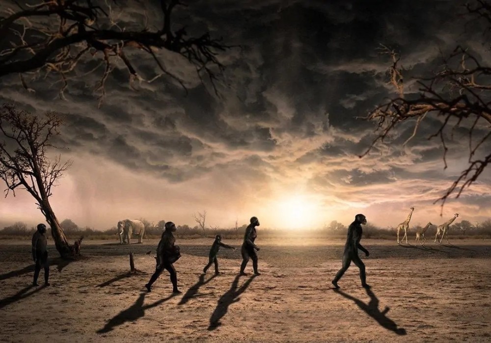 物种|所有物种都有进攻手段，为何人类没有进化出攻击性器官？