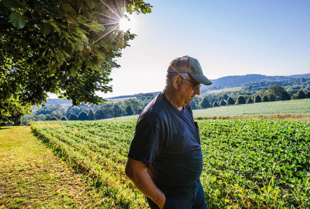 美国农业深陷困境,大批农场主十分后悔,30年的努力被总统摧毁