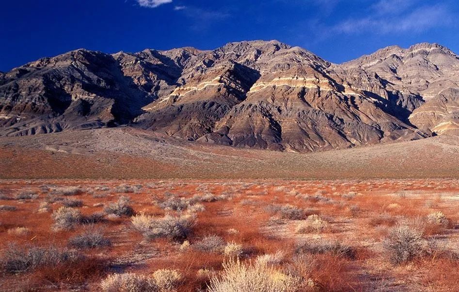 死亡谷|美死亡谷8月现54.44℃，创107年最高温，有人称可烤牛排