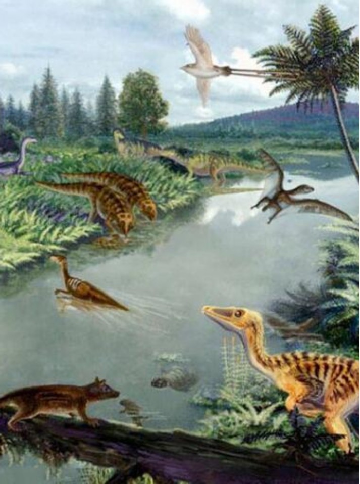 所以物种极为丰富,包含了所有中生代向新生代过渡的生物门类
