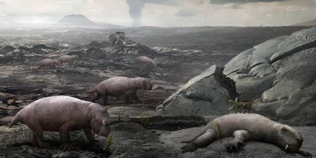 生物大灭绝|史上最严重的生物大灭绝，火山持续喷发50万年，90％生物灭绝