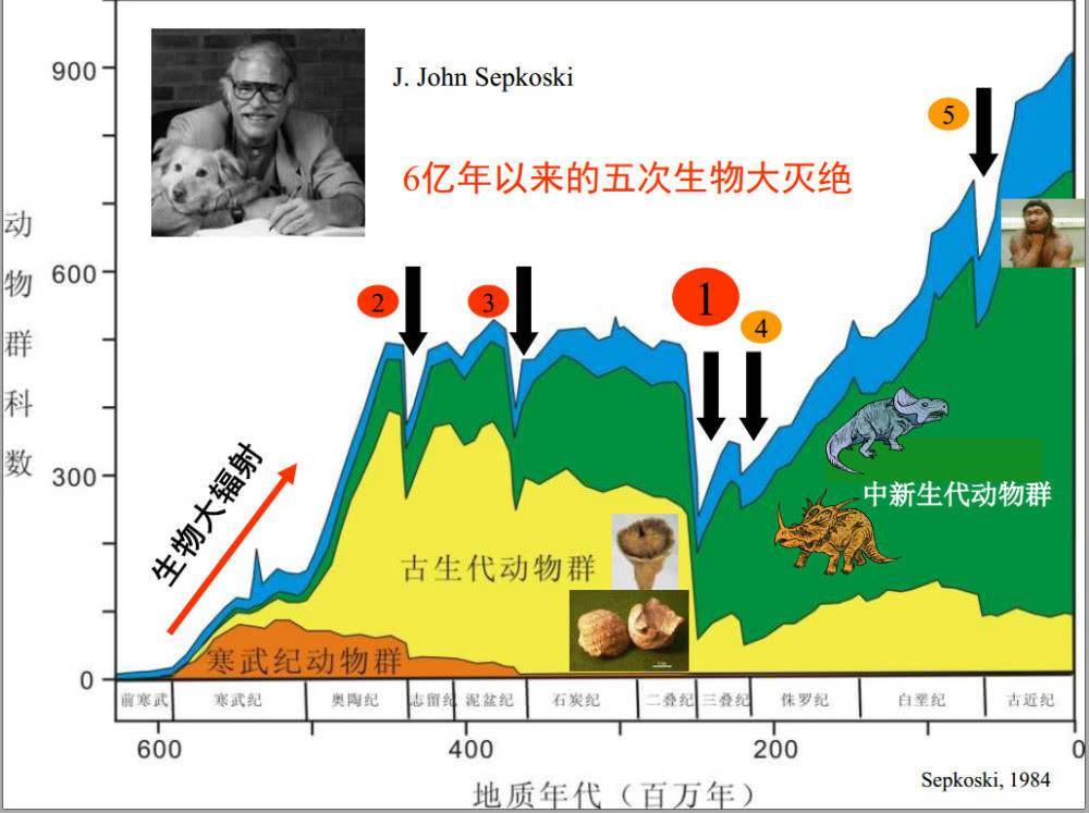 生物大灭绝|史上最严重的生物大灭绝，火山持续喷发50万年，90％生物灭绝