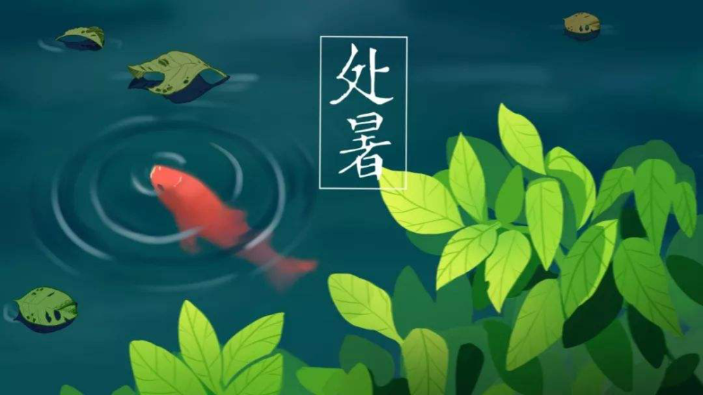 处暑|“处暑”七月半，可有人陪你看昙花一现？