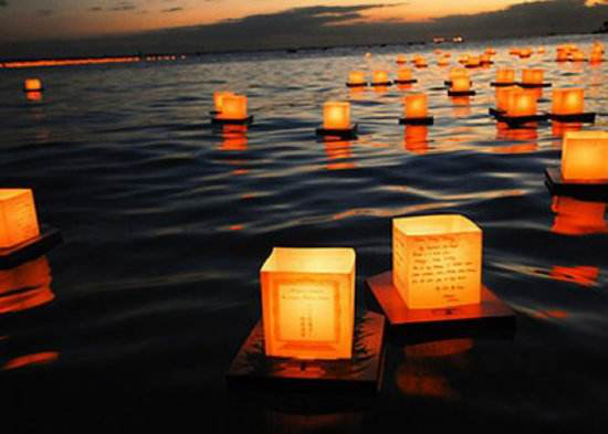 处暑|“处暑”七月半，可有人陪你看昙花一现？