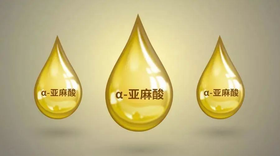 α-亚麻酸|26岁女子，突发心梗离世，生前不碰烟酒，却把一样东西当水喝