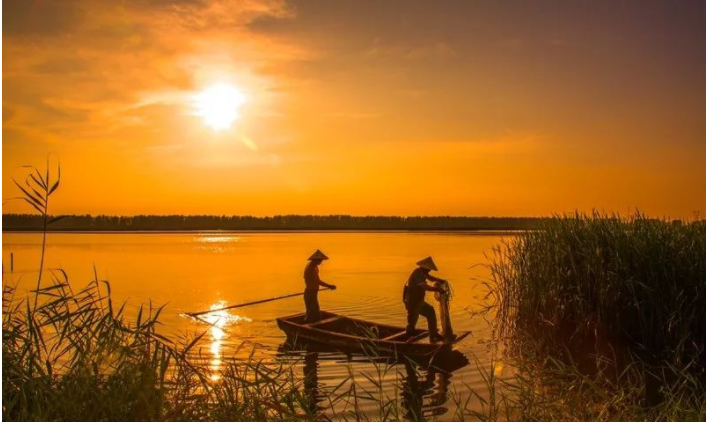 常识|文化常识：雨中草色绿堪染，水上桃花红欲然
